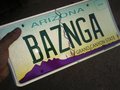 Bazinga? - the-big-bang-theory photo