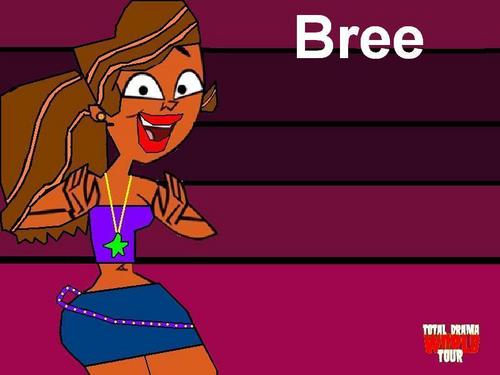  Bree