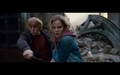 Deathly Hallows! - harry-potter photo