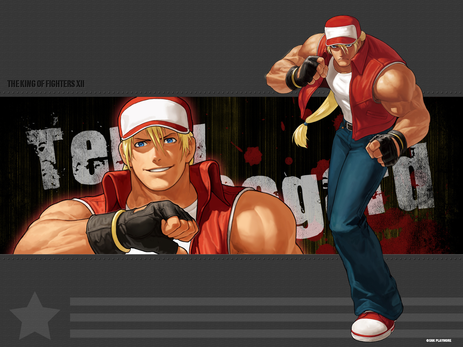 KOF XII- terry - The King of Fighters Wallpaper (13464441 ...