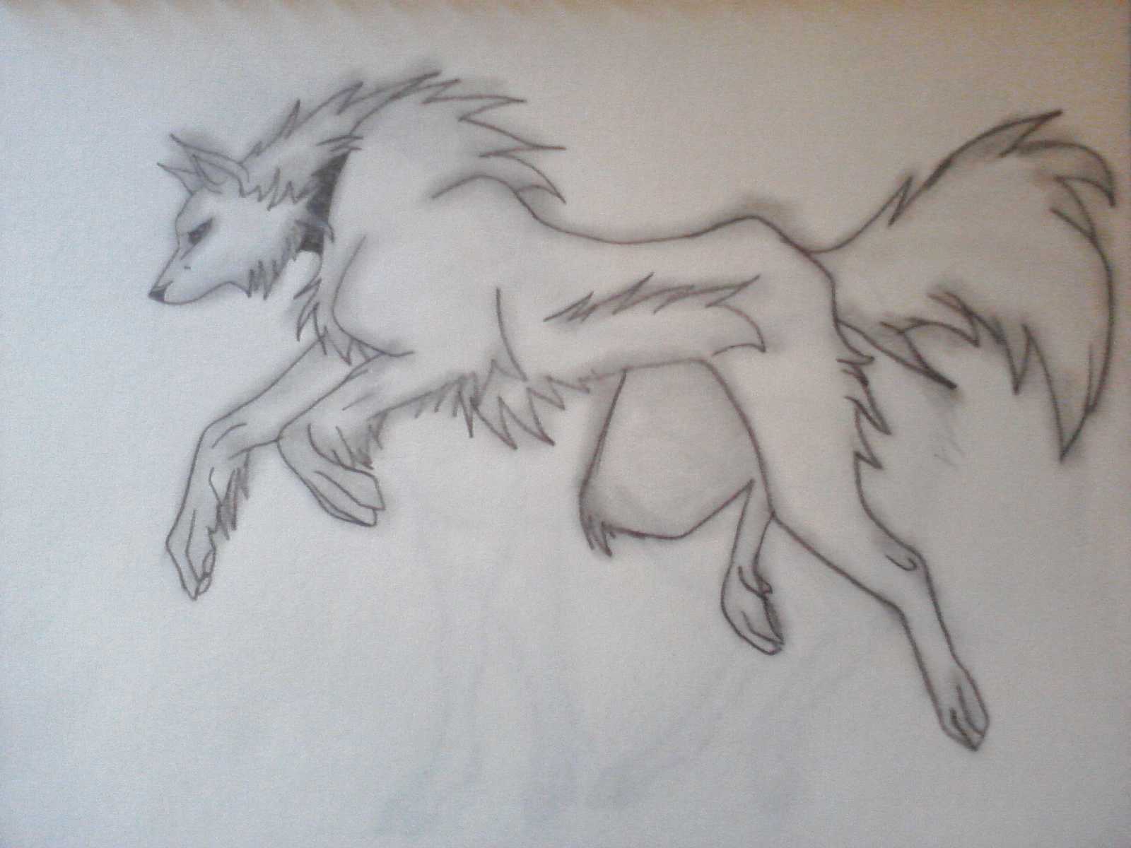My Drawing - Anime Wolves Fan Art (13403961) - Fanpop