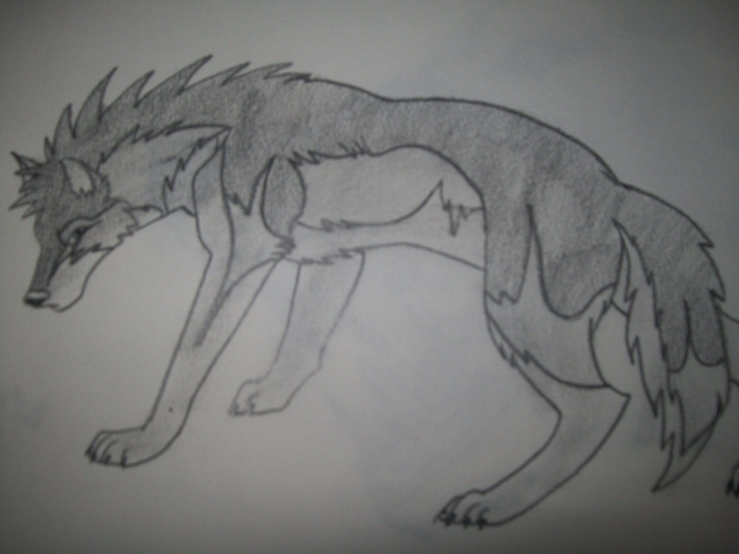 My Drawing - Anime Wolves Fan Art (13404325) - Fanpop - Page 5