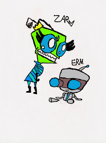  New Zar and ERM