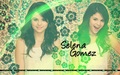 selena-gomez - Selena Gomez by AJ wallpaper