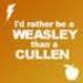 Weasleys rock! - critical-analysis-of-twilight icon