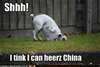  china dog