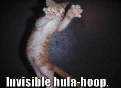 http://images2.fanpop.com/image/photos/13400000/invisible-lol-cats-13470182-400-290.jpg
