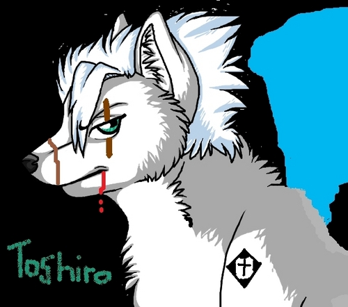 toshiro wolf