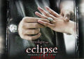 Eclipse ♥ - twilight-series photo