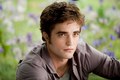 Edward's picture on HD - twilight-series photo
