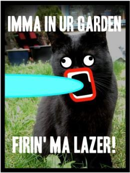 KITTY IS LAZAH - I'ma Firin' Mah Lazer! Photo (13571794 ...
