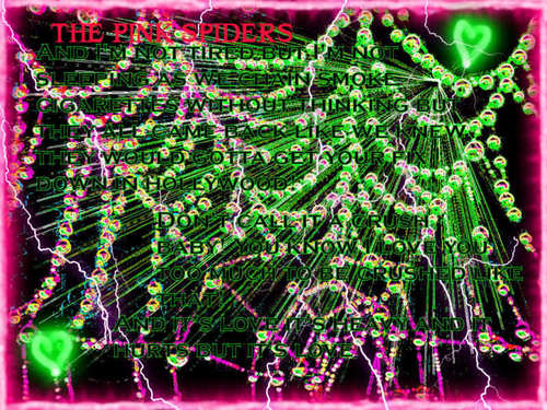 My Pink Spiders Wallpaper