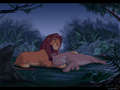 Simba&Nala♥ - the-lion-king fan art
