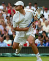 roddick funny - tennis photo