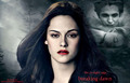 Bella&Edward&Reneesme - twilight-series fan art
