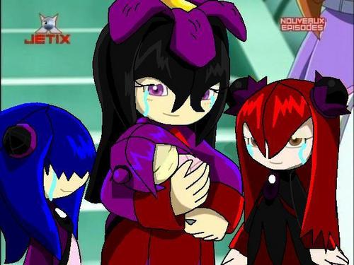  Eva the purple バラ family