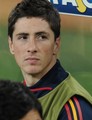 Fernando Torres - Spain (1) vs Germany (0) - fernando-torres photo