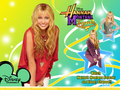 hannah-montana - Hannah Montana 4ever EXCLUSIVE wallpapers by dj!!!!!! wallpaper