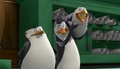 penguins-of-madagascar - I got a clear shot screencap