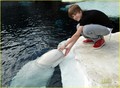 Justin -‘SeaWorld San Diego - justin-bieber photo