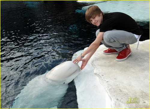  Justin -‘SeaWorld San Diego