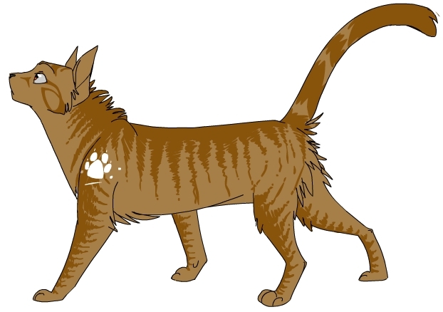 Warrior Cats Image Service Images on Fanpop.