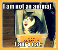 NOt an aNImal - funny-pictures photo