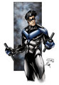 Nightwing - nightwing fan art