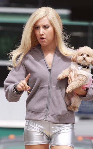 SHARPAY IS BACK!