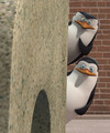 penguins-of-madagascar - Skipper and Private are spying on you screencap