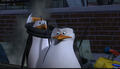 penguins-of-madagascar - Skipper can't believe it screencap