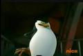 penguins-of-madagascar - Skipper's triumphant pose screencap