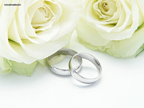 Wedding Rings And Roses