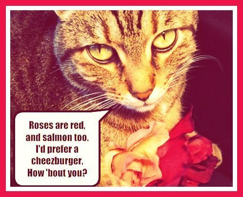  roSEs are reD...:))