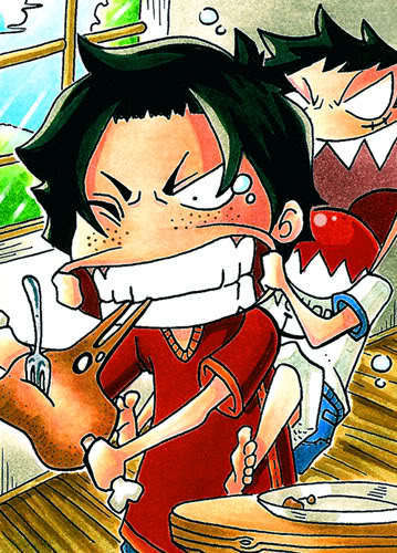 Ace and Luffy - Anime Fan Art (13757699) - Fanpop