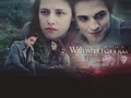 Bella and Edward - twilight-series wallpaper