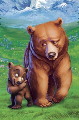  Brother beruang