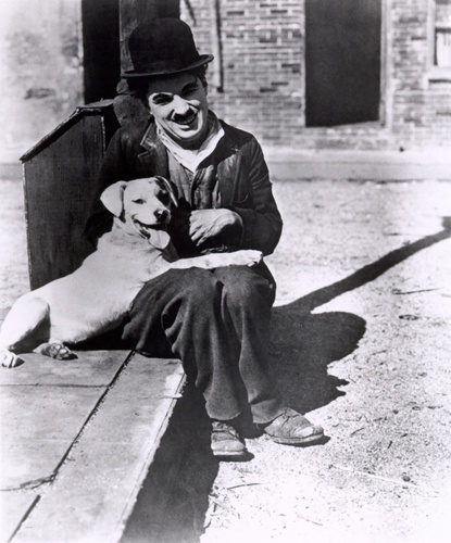 Chaplin "A Dog's Life"