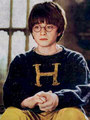Harry James Potter  - harry-potter photo
