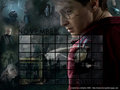 Harry Potter collage - harry-potter photo