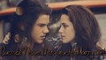 Jacob & Bella - twilight-series screencap