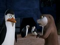 penguins-of-madagascar - Kowalski and Marlene screencap
