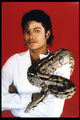 Michael Jackson with snake - michael-jackson photo