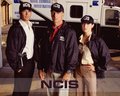 ncis - NCIS Wallpapers wallpaper