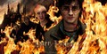 Poster Deathly Hallows - harry-potter photo