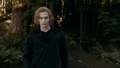 twilight-series - The Twilight Saga: Eclipse (2010) > Clip: Fight Training screencap