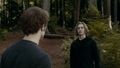 twilight-series - The Twilight Saga: Eclipse (2010) > Clip: Fight Training screencap