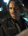 Tig Trager - sons-of-anarchy photo