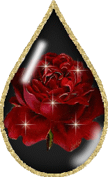  red Розы