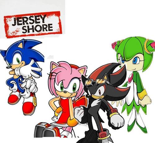 the new jersy shore cast lol